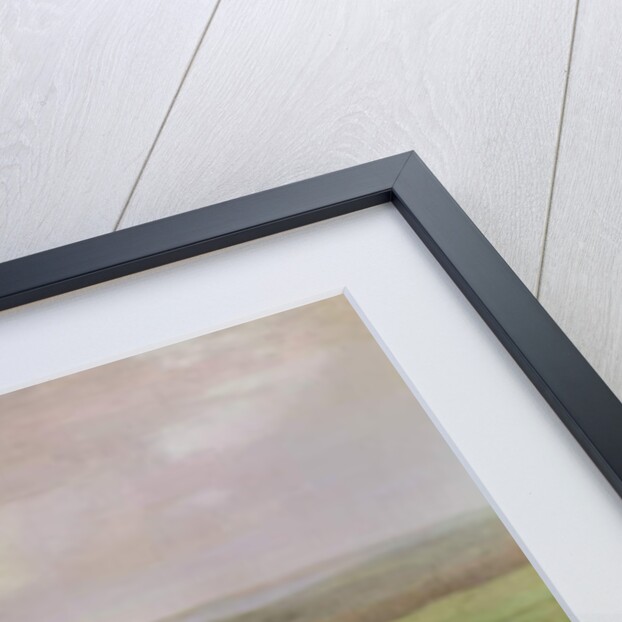 Horses at Exercise by J. Francis Sartorius