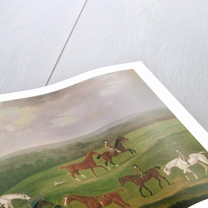 Horses at Exercise by J. Francis Sartorius