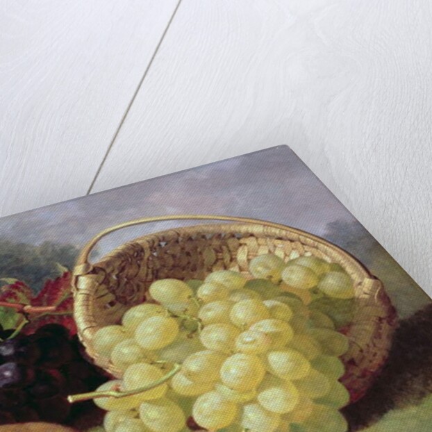 Still Life with Fruit, 1873 by Eloise Harriet Stannard