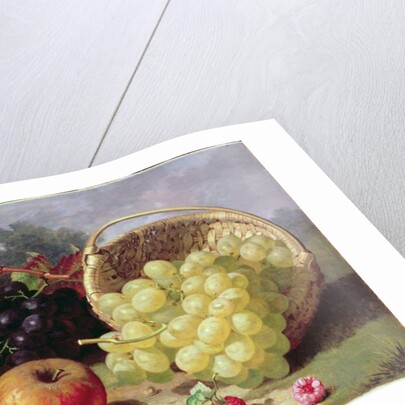 Still Life with Fruit, 1873 by Eloise Harriet Stannard