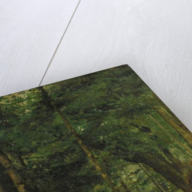 Study of sun shining through the trees, Concarneau by William Stott