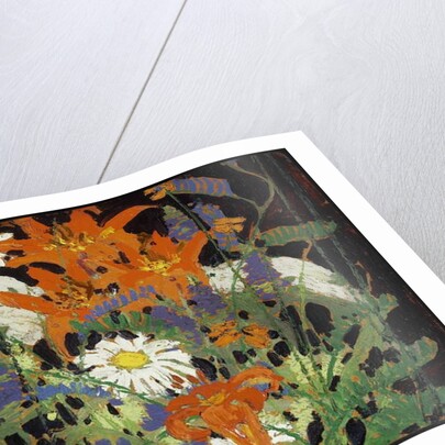 Marguerites, Wood Lilies and Vetch, c.1916 by Thomas John Thomson