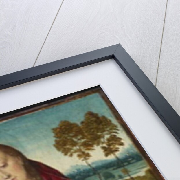 Virgin and Child by Albrecht Bouts