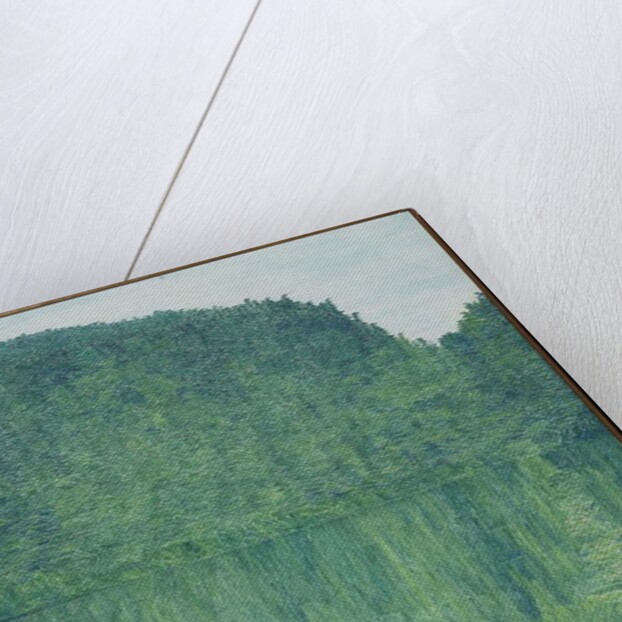 Blue Reflections, 1962 by Nakamura Hochu