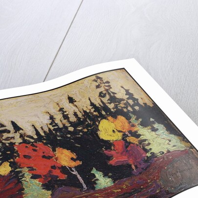 Black Spruce and Maple, 1915 by Thomas John Thomson