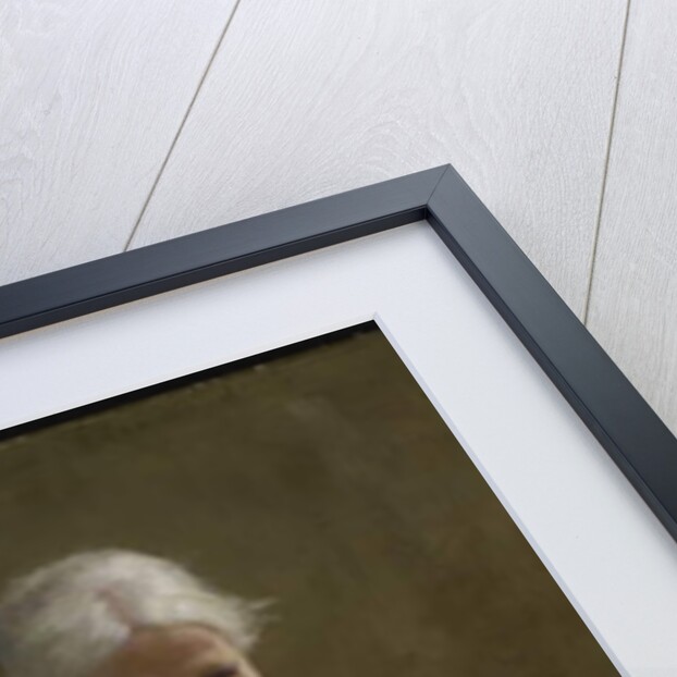 The Twilight of Life, 1894 by Sydney Strickland Tully