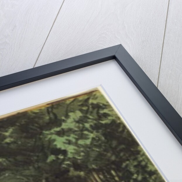 The Wheelbarrow, 1871 by Daniel Fowler