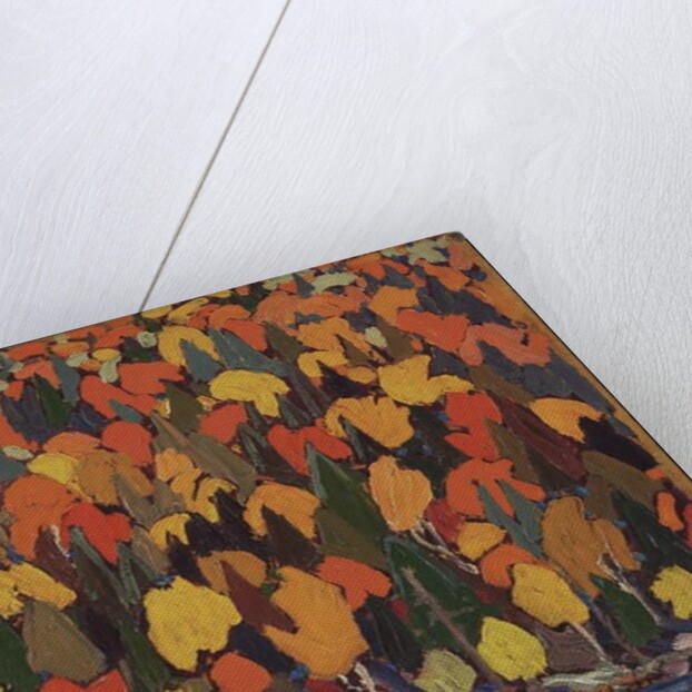 Autumn Foliage, Fall or Winter 1915 by Thomas John Thomson