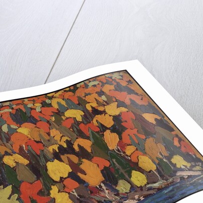 Autumn Foliage, Fall or Winter 1915 by Thomas John Thomson