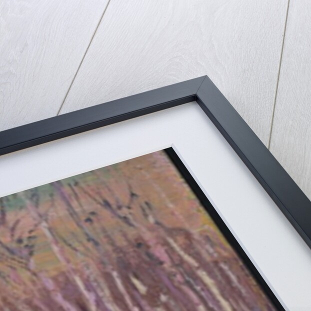 Silver Birches, c.1915 by Thomas John Thomson