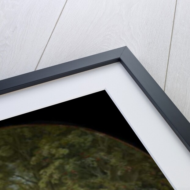 Les Sabots [The Wooden Shoes], 1768 by Francois Boucher