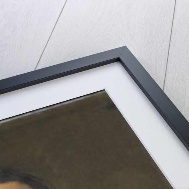 Vincent Laurensz van der Vinne, c.1655-60 by Frans Hals