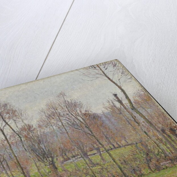 Poplars, Grey Weather, Eragny, 1895 by Camille Pissarro