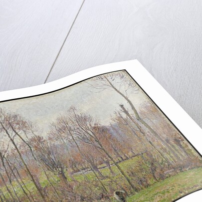 Poplars, Grey Weather, Eragny, 1895 by Camille Pissarro