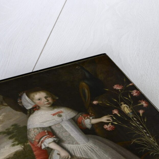 Portrait of a Young Girl with Carnations, c.1663 by Jan Albertsz Rotius