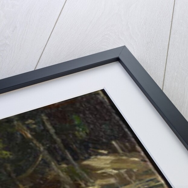 The Canoe, Spring or Fall 1914 by Thomas John Thomson