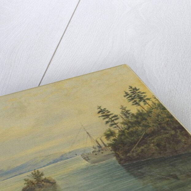 In the Thousand Islands, c.1865 by John Herbert Caddy