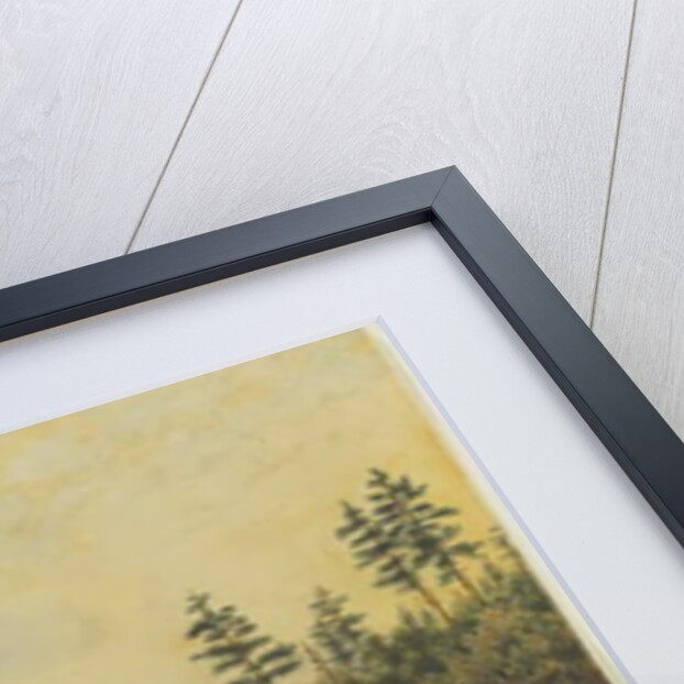 In the Thousand Islands, c.1865 by John Herbert Caddy