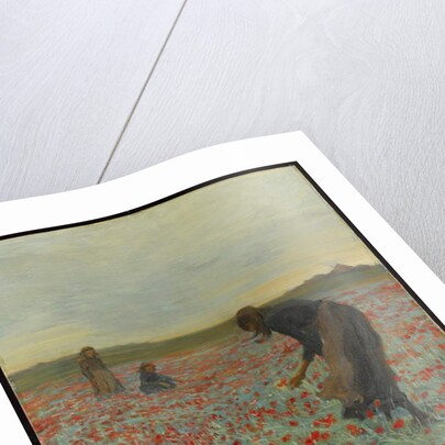 Girls in a Poppy Field, c.1896 by Edmund Montague Morris