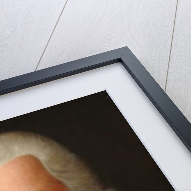 Knight of St. John, c.1750 by French School