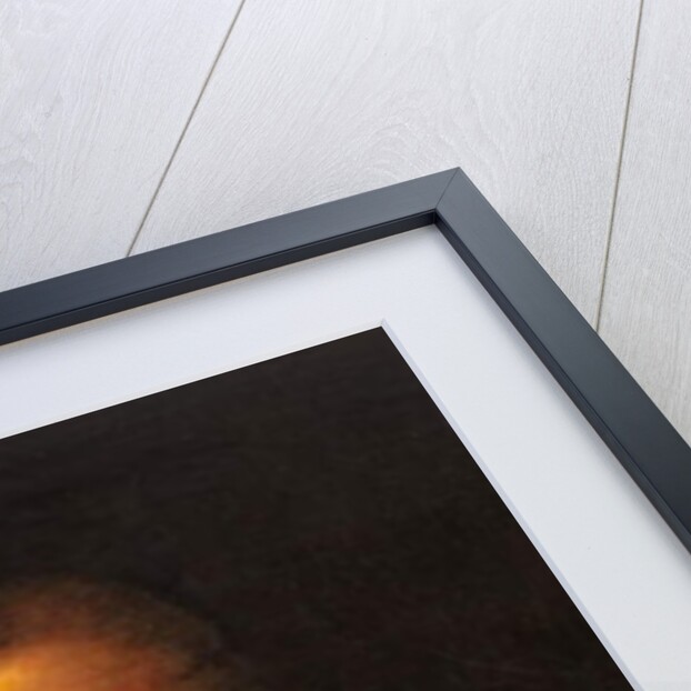 Grand Master Guillaume de Villaret by Maltese School