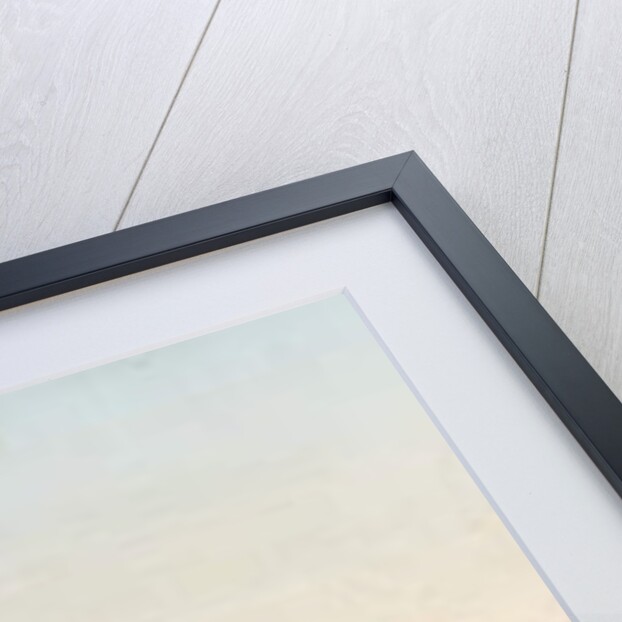 Valletta from near Manoel Island by Giancinto Gianni