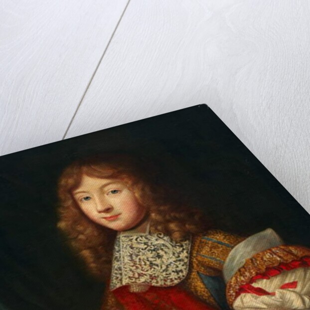 Portrait of a young knight holding insignia, c.1700 by Sebastien (school of) Bourdon