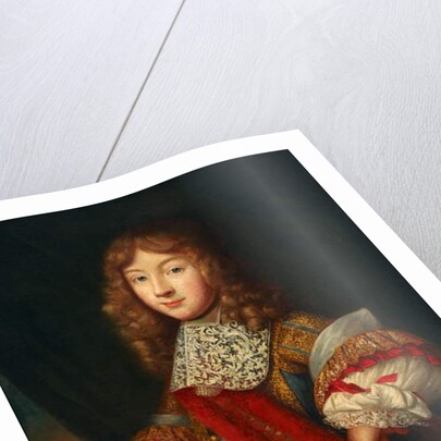 Portrait of a young knight holding insignia, c.1700 by Sebastien (school of) Bourdon