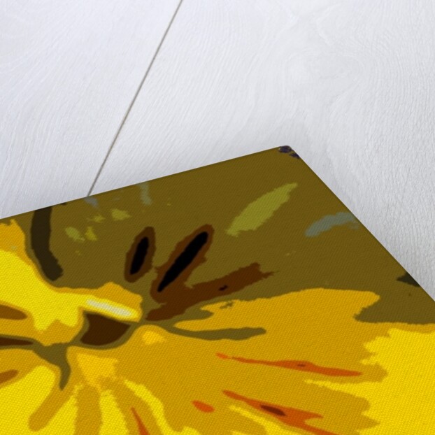 Urban Bloom by Sarah O'Toole