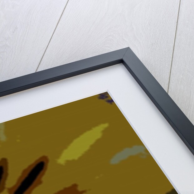 Urban Bloom by Sarah O'Toole