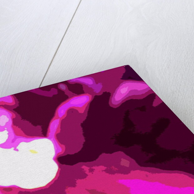 Raspberry Crush by Sarah O'Toole