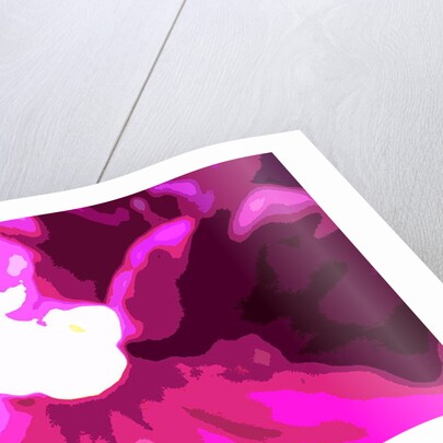 Raspberry Crush by Sarah O'Toole