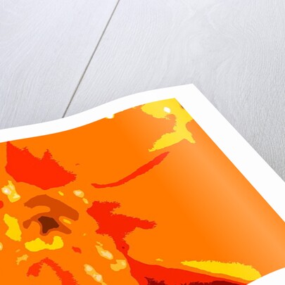 Sunshine Camouflage by Sarah O'Toole