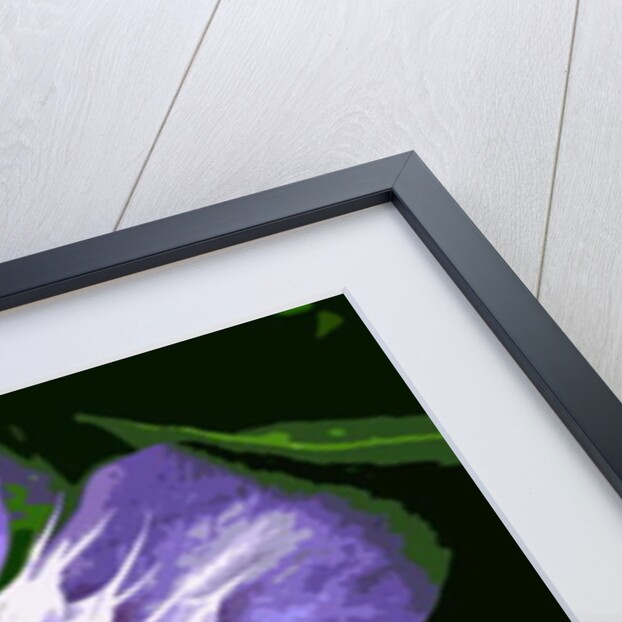 Ocean Bloom by Sarah O'Toole