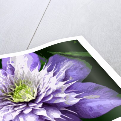 Ocean Bloom by Sarah O'Toole