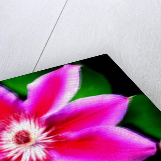 Winds of Change by Sarah O'Toole