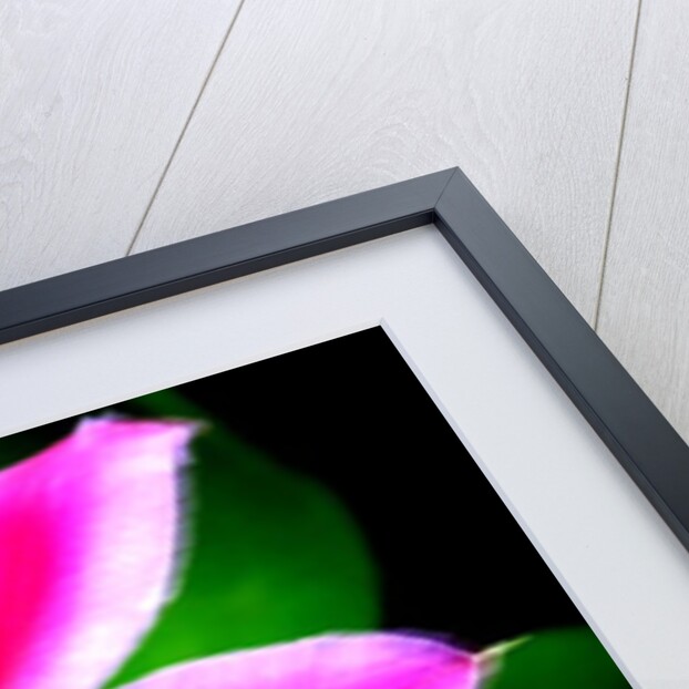 Winds of Change by Sarah O'Toole