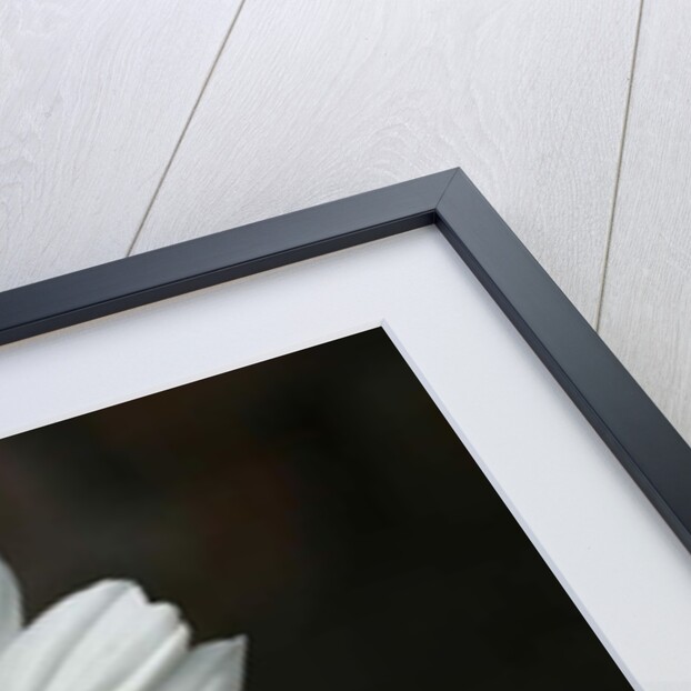 Garsington Cosmos, 2009 by Sarah O'Toole