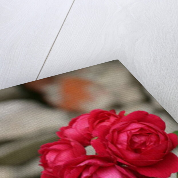 Garsington Rose, 2009 by Sarah O'Toole