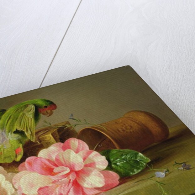 Still Life with Parrot, 1879 by Josef Schuster