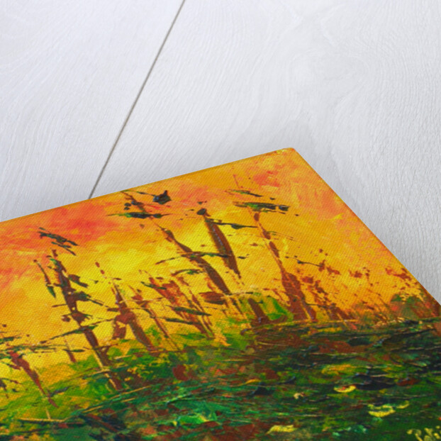 Bayou, 2011 by Patricia Brintle