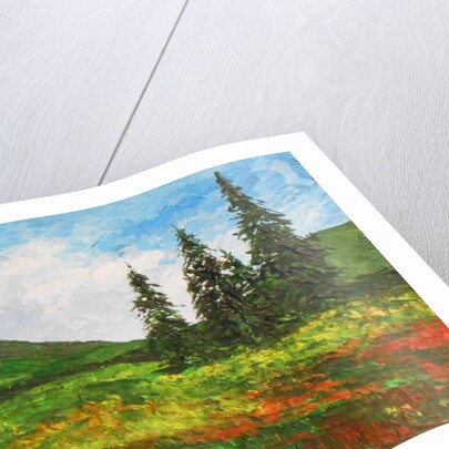 Down the valley, 2012 by Patricia Brintle