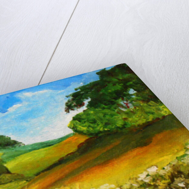 La route de Mouline, 2015 by Patricia Brintle