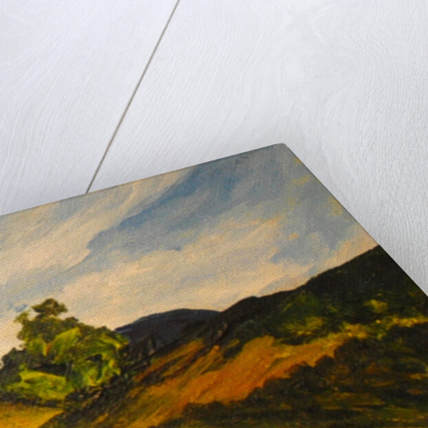 La route de Thiote, 2014 by Patricia Brintle