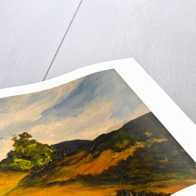 La route de Thiote, 2014 by Patricia Brintle