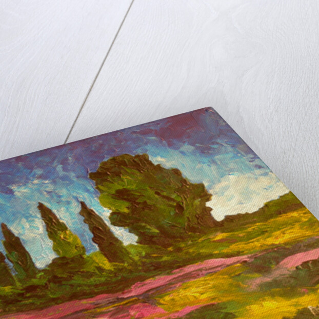 Lavenders are blooming, 2009 by Patricia Brintle