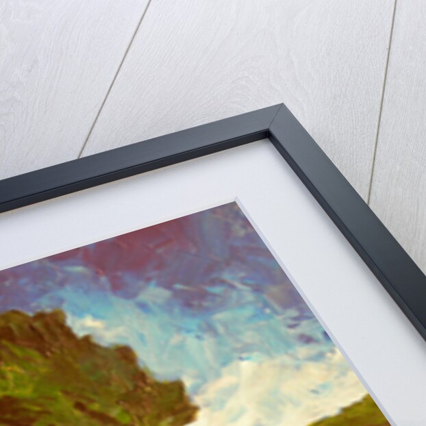 Lavenders are blooming, 2009 by Patricia Brintle