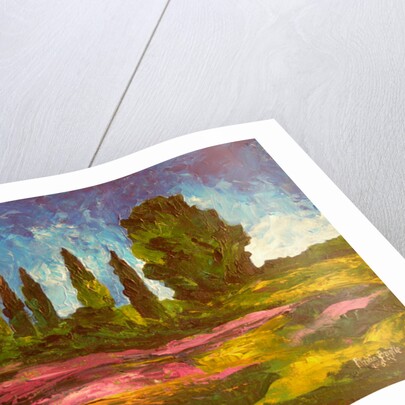 Lavenders are blooming, 2009 by Patricia Brintle