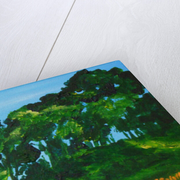 Soubois in Marmelade, 2016 by Patricia Brintle