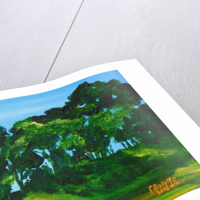 Soubois in Marmelade, 2016 by Patricia Brintle